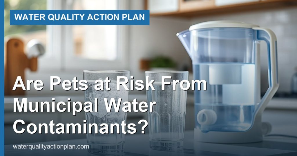 Are Pets at Risk From Municipal Water Contaminants?