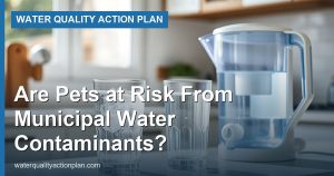Are Pets at Risk From Municipal Water Contaminants?